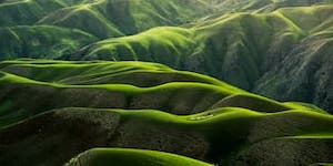green covered hills