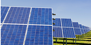 A row of solar panels